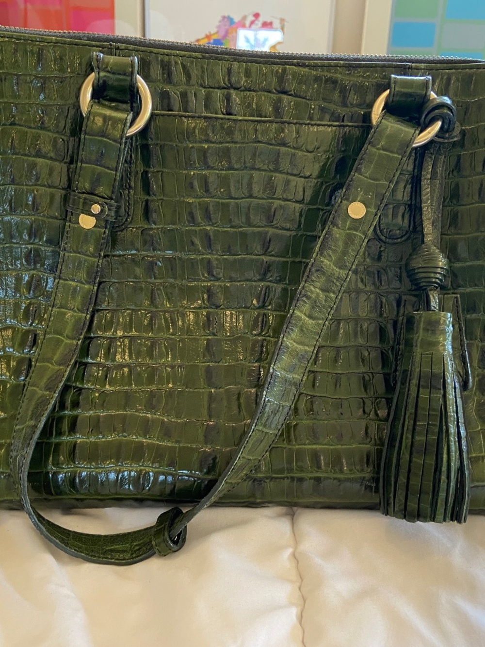 Beautiful Green Croc Brahmin Bag